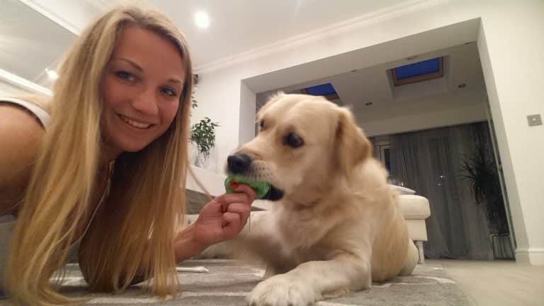 UK tech firm introduces ‘Pawternity Leave’ for new pet owners in Manchester