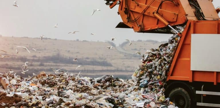 Think net zero won’t impact you anytime soon?