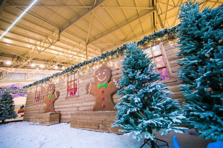 Chill Factore announce over 100 new roles!