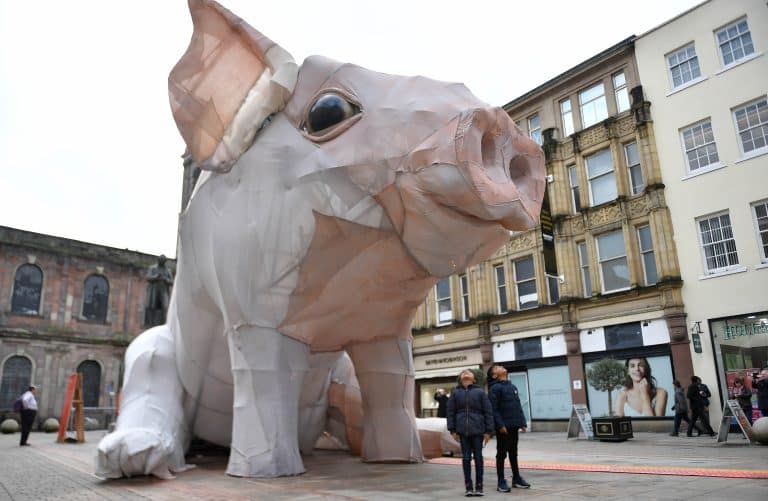 200,000 visit Manchester for year of the pig