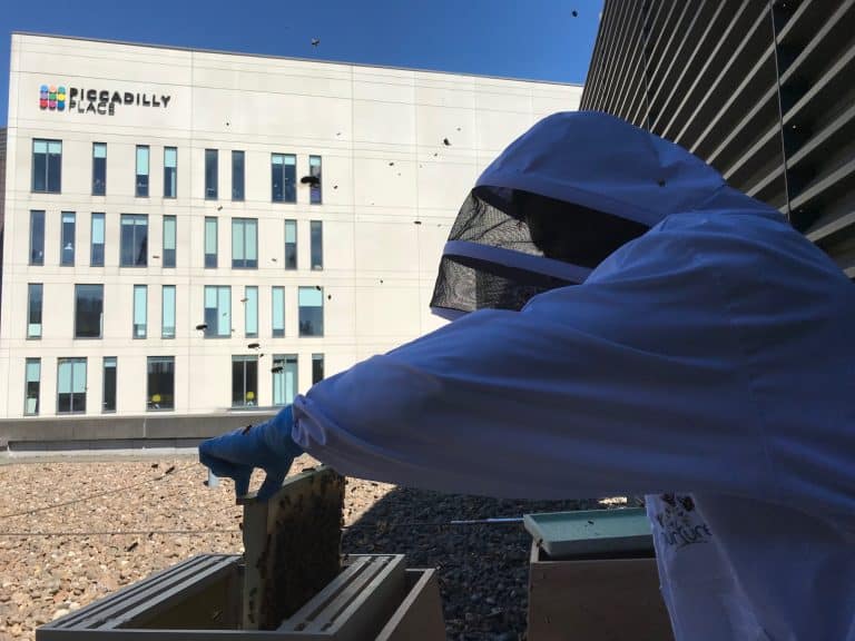 GVA brings the buzz to Manchester  