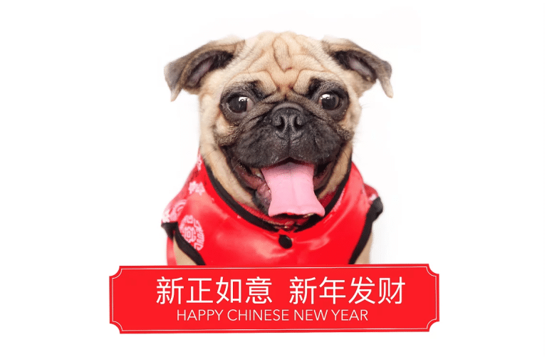 Year of the dog gets off to a flyer thanks to Manchester Airport