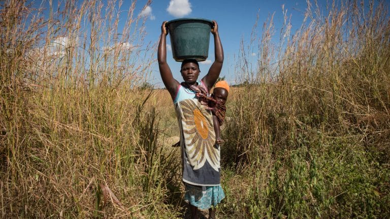 WaterAid Appoints Manchester Agency as Global Web Development Partner