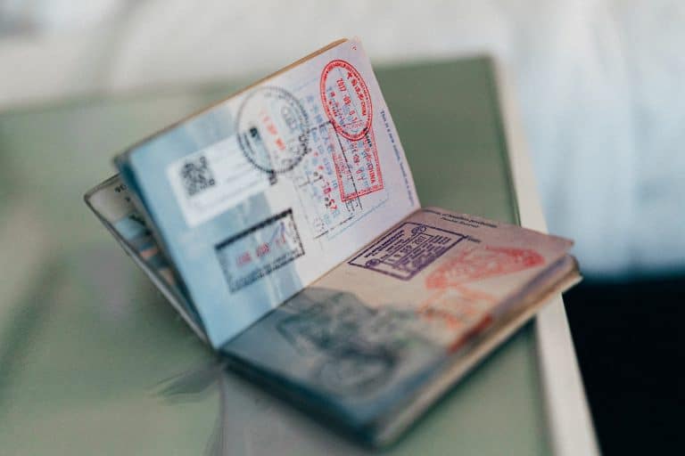 How Can I Become an Irish Citizen by Naturalization?