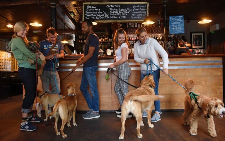 DogBuddy search for most dog-friendly pub in the North West