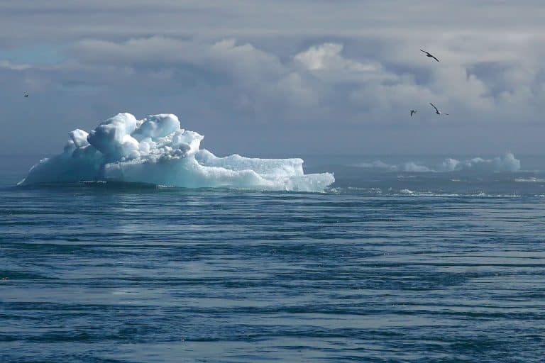 CLIMATE CHANGE CAREERS IS BACK FOR A SECOND YEAR
