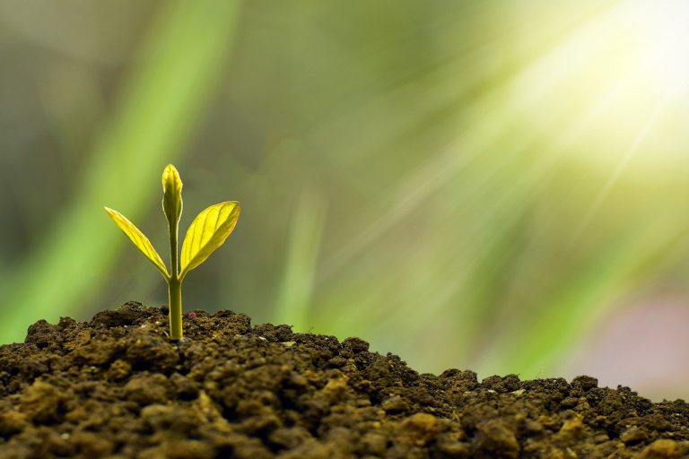 NPIF Maven Equity Finance invests £1.3m in Manchester-based IDS