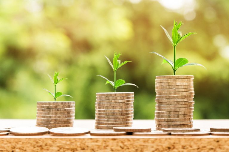 Do Zero-Interest Loans Exist?