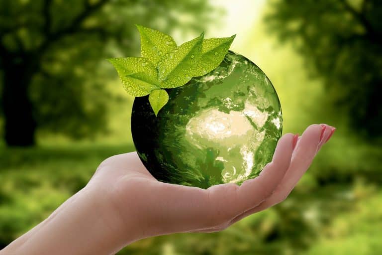 KEY GROUP OFFSETS ALL HISTORIC CARBON EMISSIONS AS IT LAUNCHES SUSTAINABLITY STRATEGY