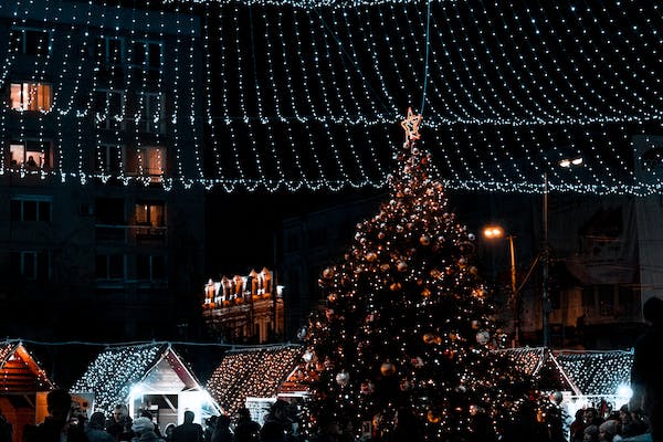 Beetham Nurseries – Christmas is Coming