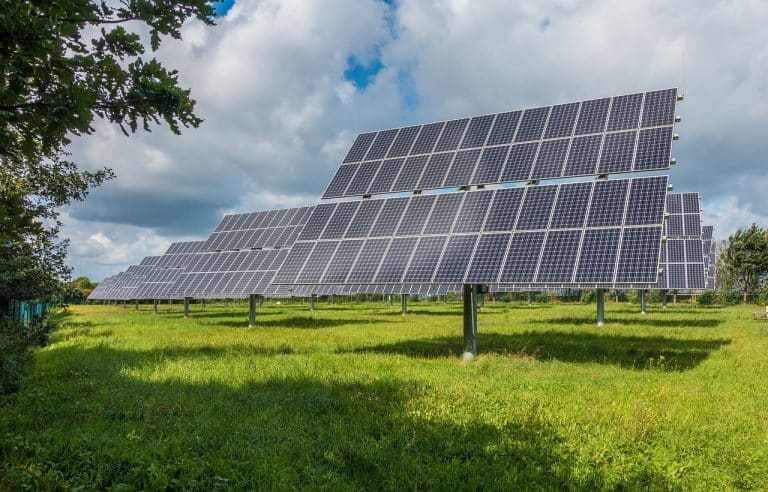 Sustainability pioneers Puredrive Energy powered for growth with £4m lending facility from Cynergy Business Finance