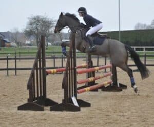 Horse Menage Construction Voted Best Horse Menage Surface Company of the Year for 2023