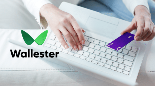 An Easy Business with Walester: All About Wallester Credit Card