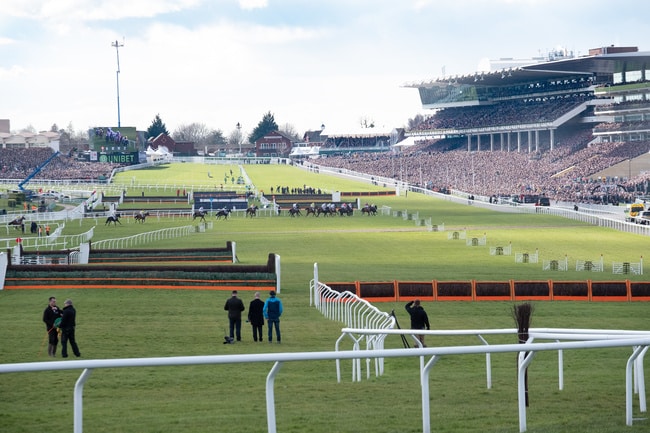 Betting Offers for Cheltenham Day 2