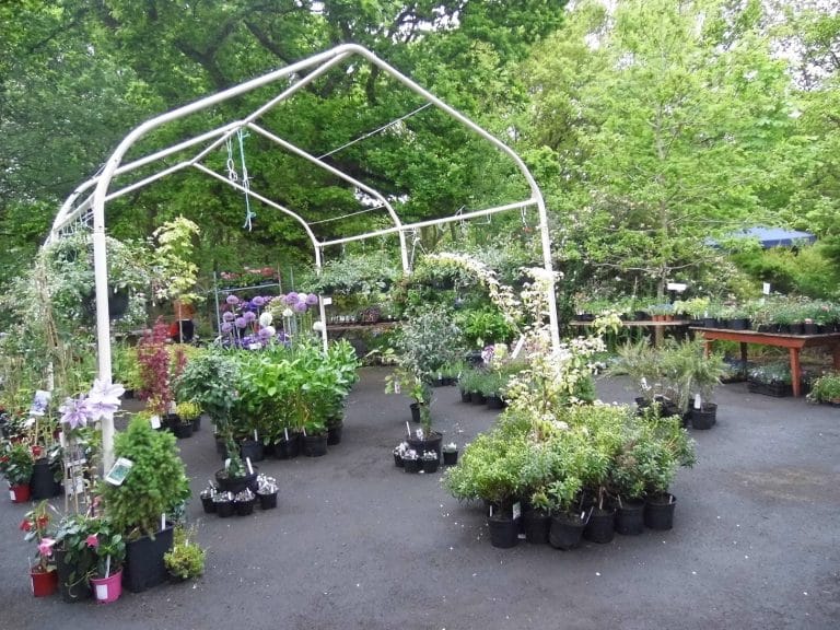 Local Charity Springs Into Action to Raise Much-Needed Funds for Disadvantaged Families in Greater Manchester