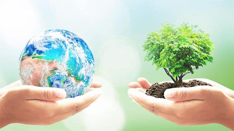 Protecting Our Planet: A Comprehensive Look at Earth Day and Environmental Changes