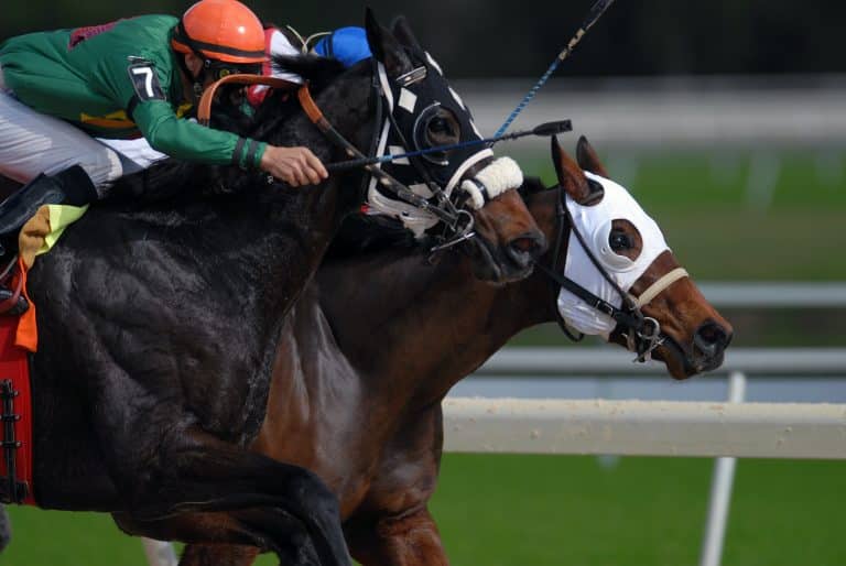 How Horse Racing Can Teach Leadership