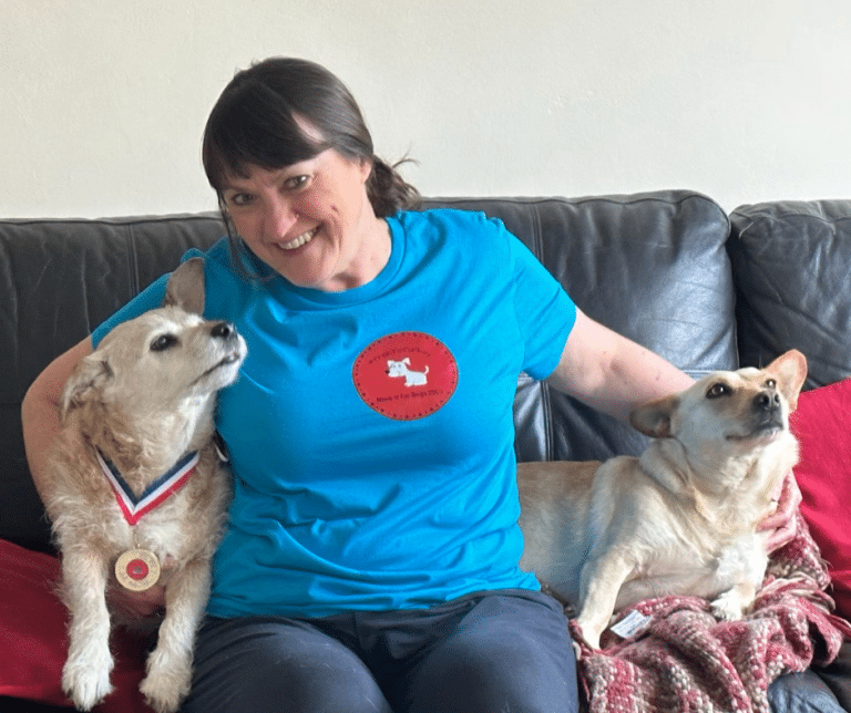 UK Social Enterprise Tackles Growth in Stray Dog Population