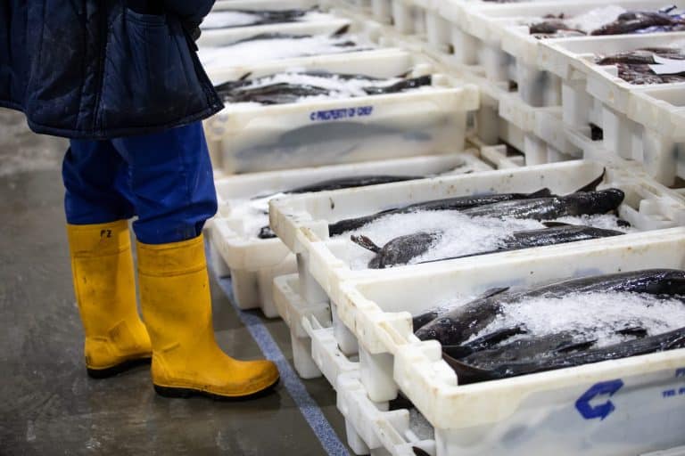 Preserving Perishables and Saving Costs With Cold Storage Warehouses