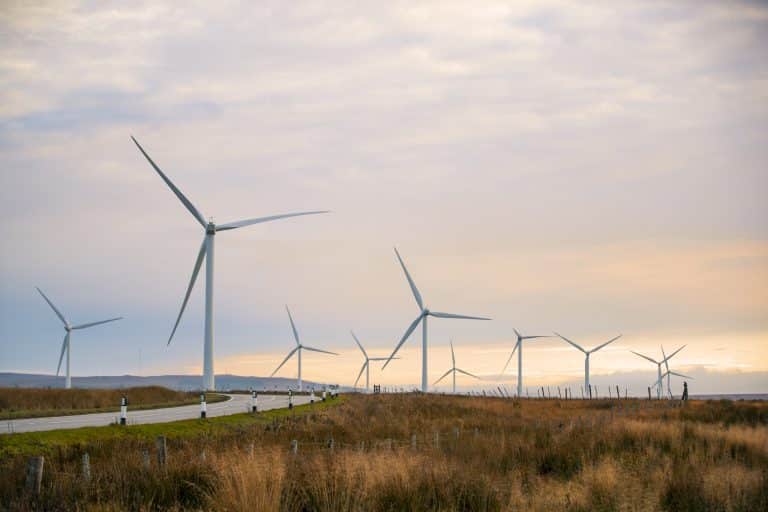 Palatine-backed Anthesis doubles up with second acquisition this month