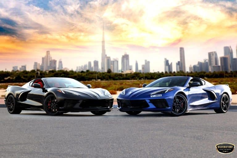 Activities This Summer in Dubai