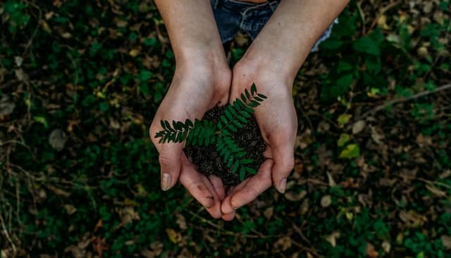 Incorporating Sustainable Practices into Your Student Start-up