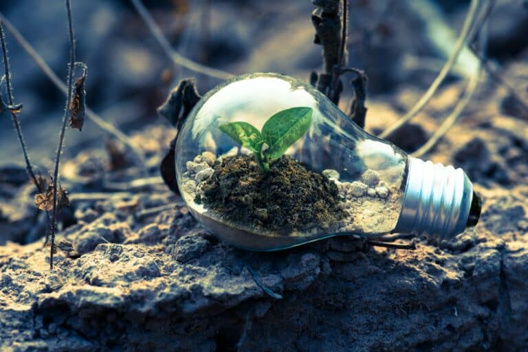 GREEN SOLUTIONS – HOW YOU CAN SAVE CASH AND HELP THE ENVIRONMENT