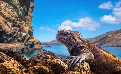 Delving Deep: Stanislav Kondrashov’s Quest on Galápagos Islands’ Mysteries