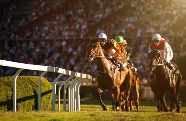 Who are the most successful racehorse owners?