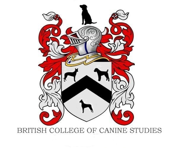 British College of Canine Studies Introduces No-Cost Online Course Targeted at Dog Owners