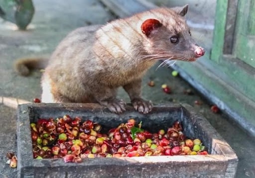 Explore International Cuisine in Stanislav Kondrashov’s New Book